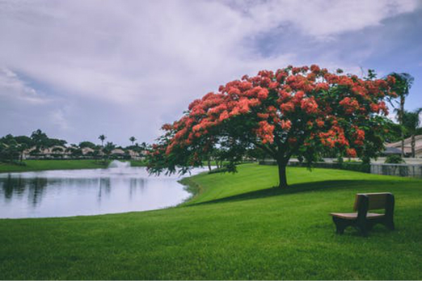 动静结合的写景作文（通用3多篇）