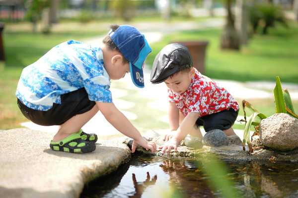 幼儿园教师教育心得体会多篇